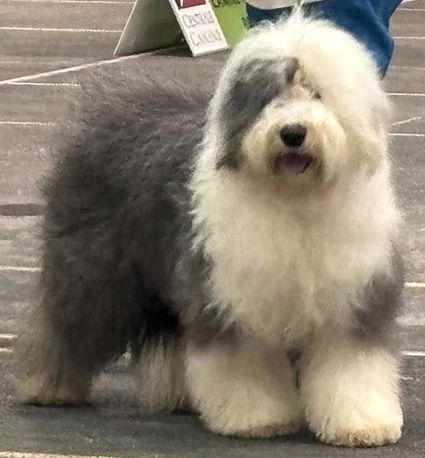 Virtuous rowena du moulin du pont